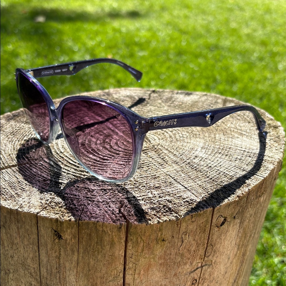 Coach Violet Gradient Sunglasses